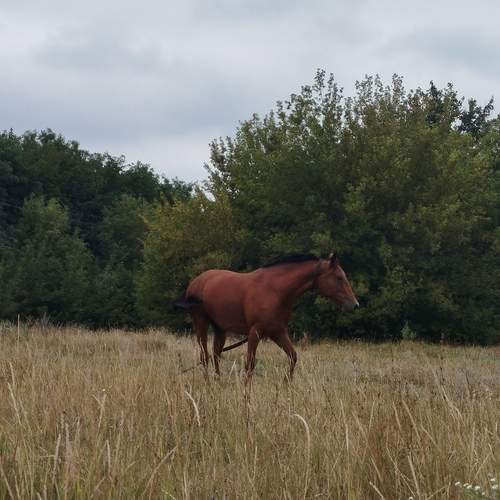 Photo #12544570
