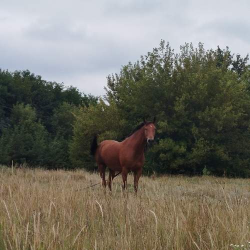 Photo #12544571