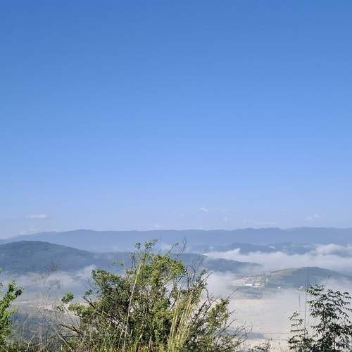 Photo #12544723