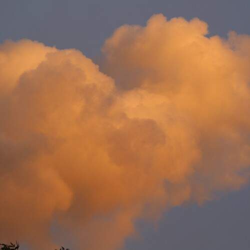 Photo #12544774