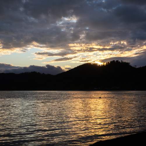 Photo #12544792