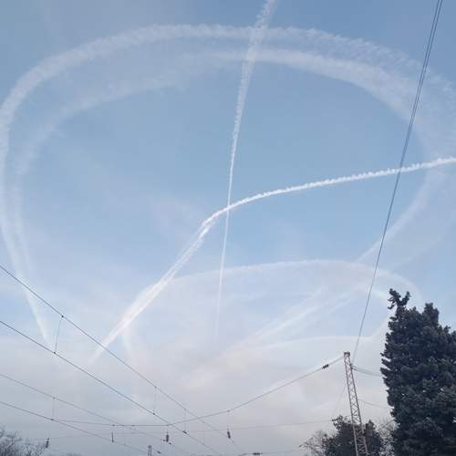 Photo #12544862