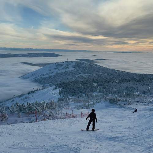 Photo #12544953