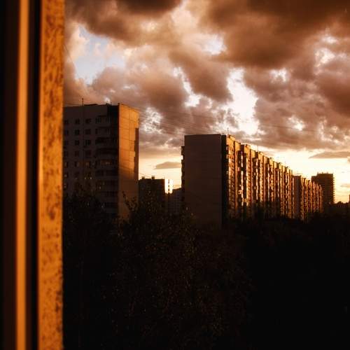 Photo #12545026