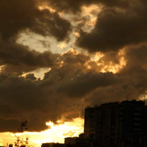 Photo #12545032