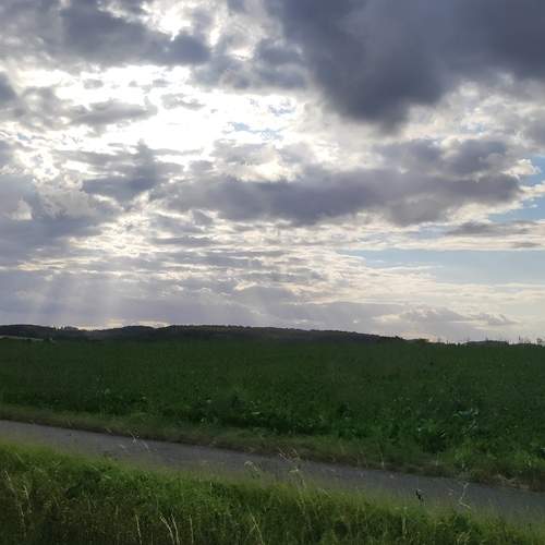 Photo #12545286