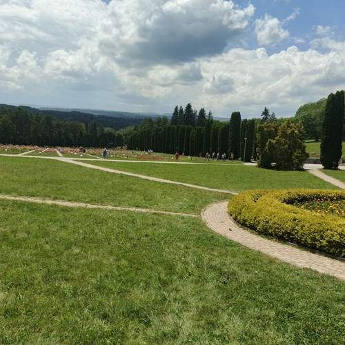 Photo #12545334