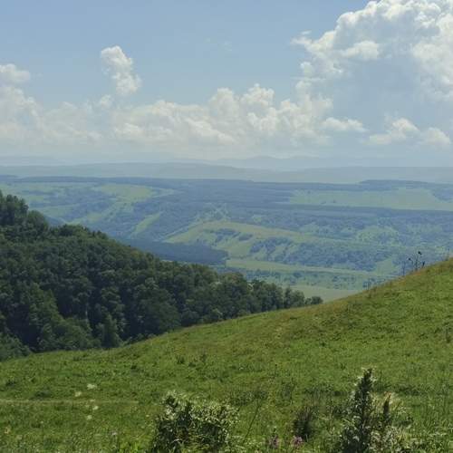 Photo #12545336