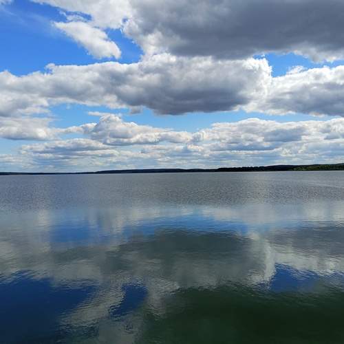 Photo #12545339