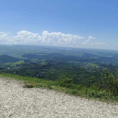 Photo #12545349
