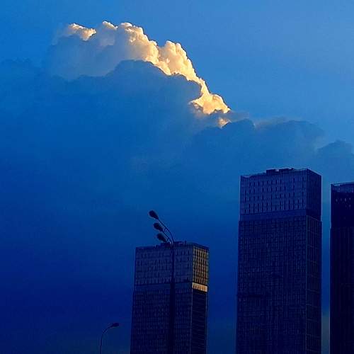 Photo #12545420