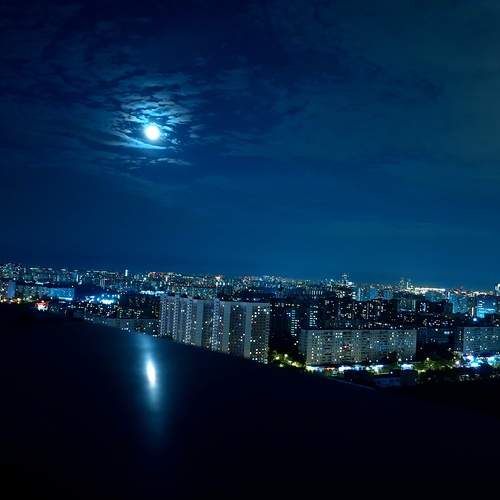 Photo #12545453