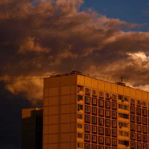 Photo #12545455