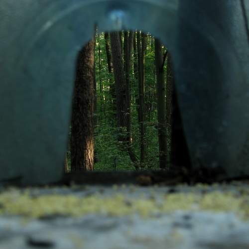 Photo #12545540