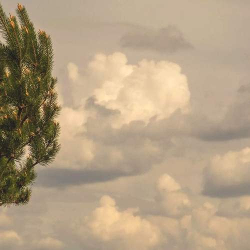 Photo #12545977
