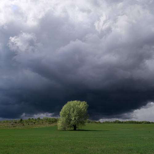 Photo #12545999