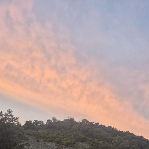 Photo #12546005