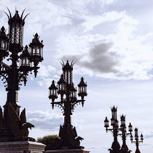 Photo #12546022