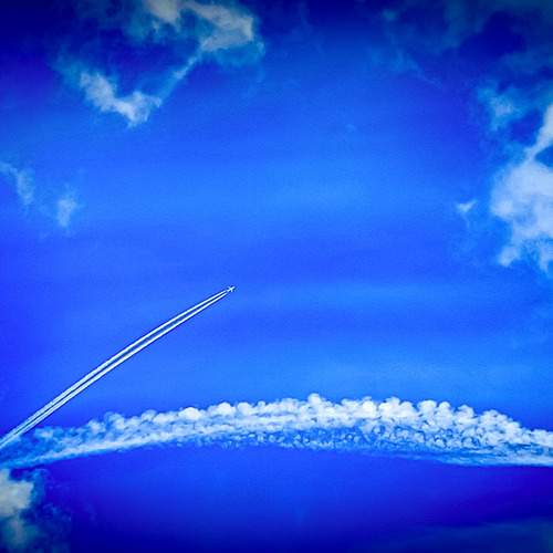 Фотография #12546045