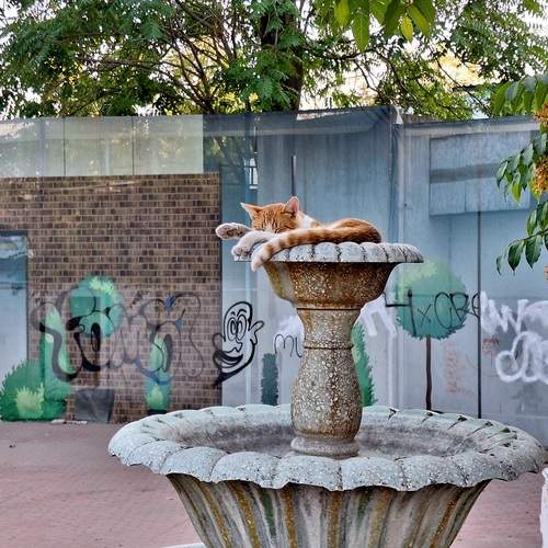 Photo #12546092