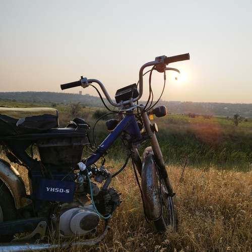 Photo #12546095