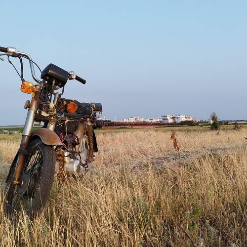 Photo #12546097