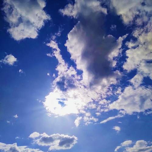 Photo #12546200