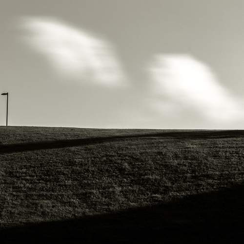 Photo #12546305