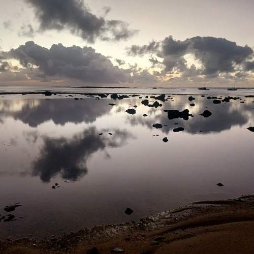 Photo #12546307