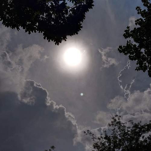 Photo #12546334