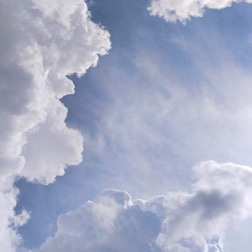 Photo #12546335
