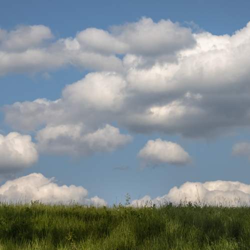 Photo #12546394