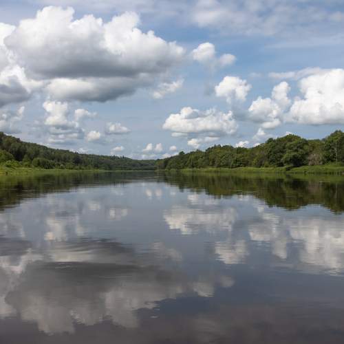 Photo #12546395