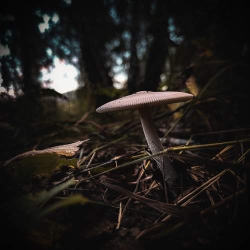 Photo #12546480