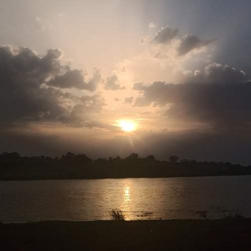 Photo #12546670