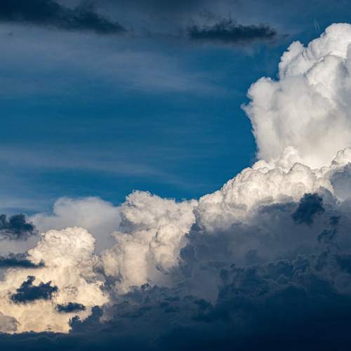 Photo #12546701