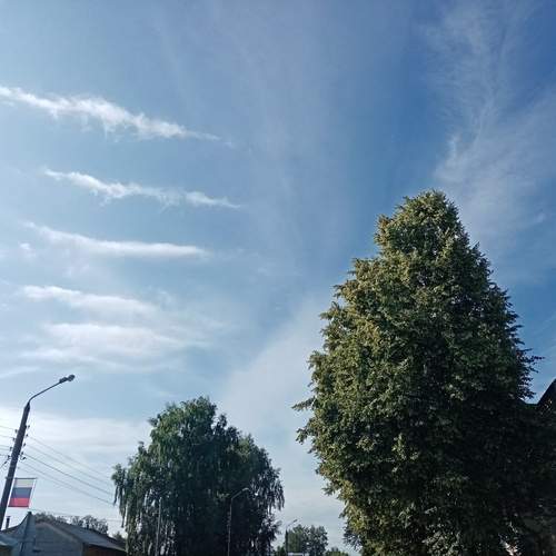 Photo #12546754
