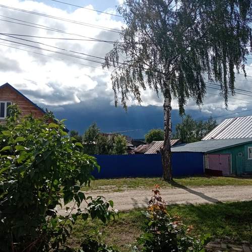 Photo #12546756