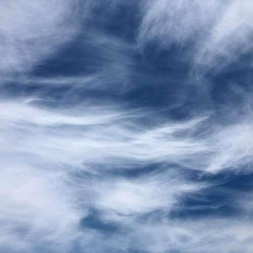 Photo #12546949