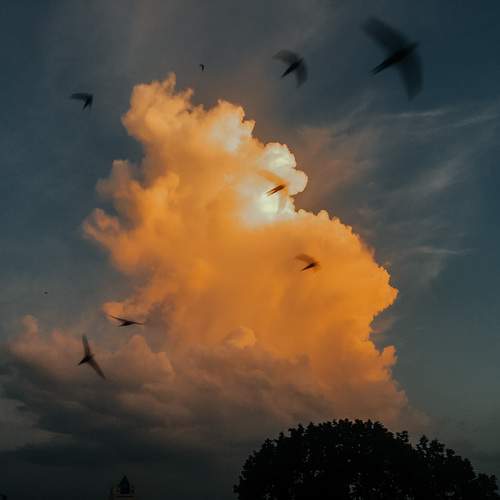 Photo #12546951