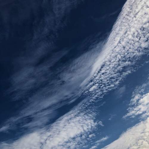 Photo #12546952