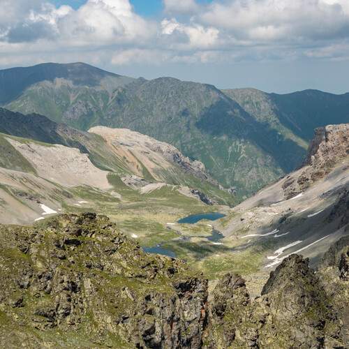 Photo #12546985