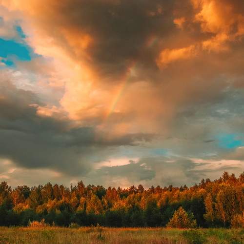 Photo #12547022