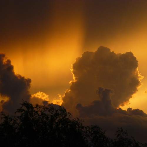 Photo #12547030