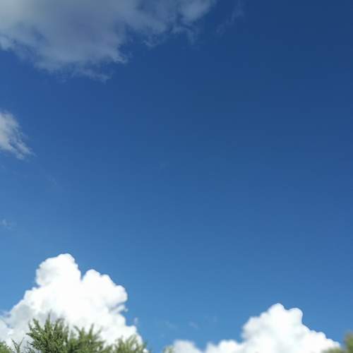 Photo #12547065