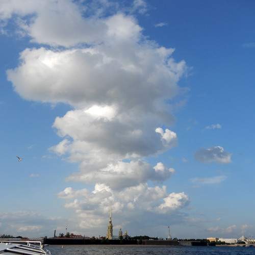 Photo #12547182