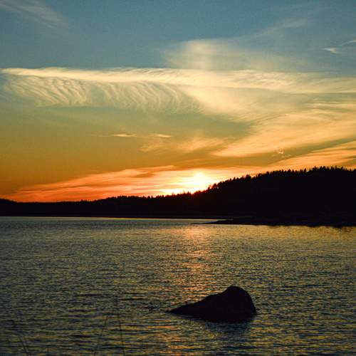 Photo #12547232