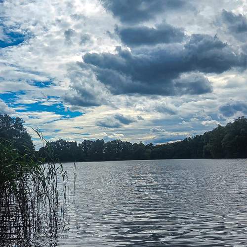 Photo #12547270