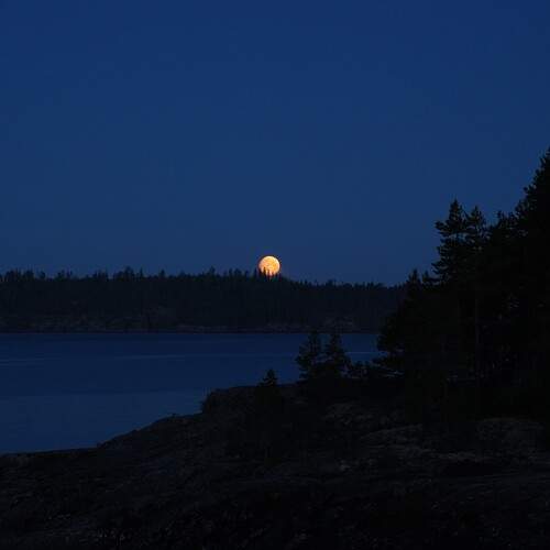 Photo #12547280