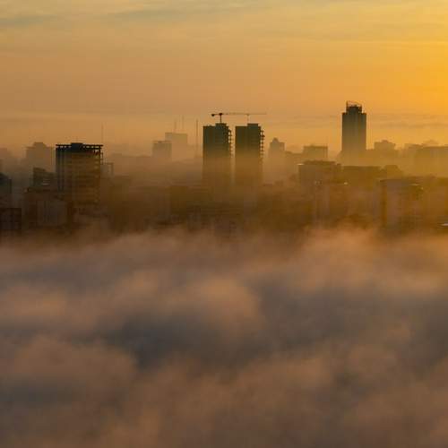 Photo #12547300